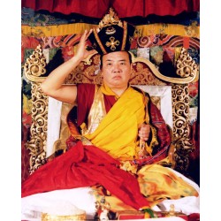 16th Karmapa with Hat